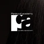 Panjkovic Salon icon