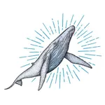 이지패스 SQLD icon