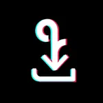 SnapTok: Save Tok Tags, Emoji icon