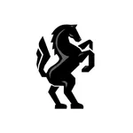 The Black Stallion icon