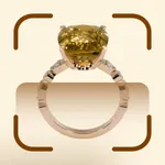 Jewelry Identifier - Gemstone icon