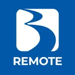 BraunAbility Remote icon
