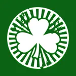 Ирландский паб в Борисове icon