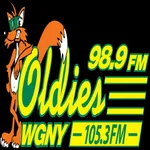 Fox Oldies 989 WGNYFM icon