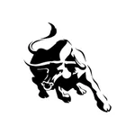 Bull Outdoor Products icon
