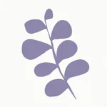 Bloom Studio icon