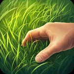 TOUCH GRASS: THE APP icon