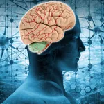 Brain Anatomy Quizzes icon