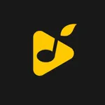 Accordly - Песни под гитару icon
