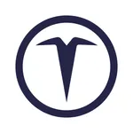 T-Bridge icon