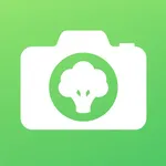 Photo Food Diary & Log MealPix icon
