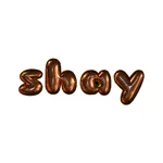 shay's reflections icon