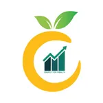 Orange Insight icon