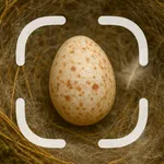 Egg Identifier icon