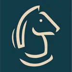 ركنة السائق icon