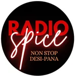 Radio Spice icon