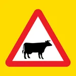 Cyprus road signs 2025 icon