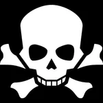 Memento Mori Tool icon