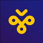 ZGC VPN icon