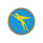 Air Congo icon