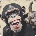 Windsurf Spot Guide icon