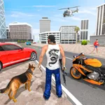 Indian Police Bike Chase 3D icon