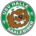 USV Halle Saalebiber icon