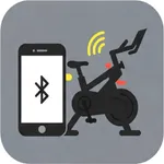 FitSwitch Bridge icon