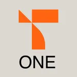TeleProffs One icon