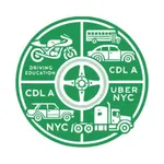 Driving test: ez go icon