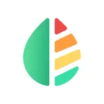 AllerTrack: Allergy monitor icon