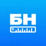 Базис Недвижимость icon