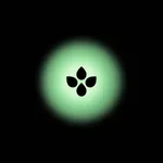 Ses AI Voice Assistant icon