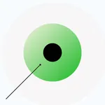 Green Zone: Wellness Calendar icon