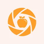 DaySnap: Visual Habit Journal icon