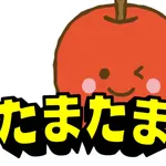 たまたま icon