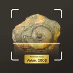 Fossil Identifier icon