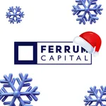 Ferrum Capital icon