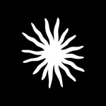 Best Day Ever Performance icon