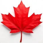 Made in Canada AI: Buy Local icon