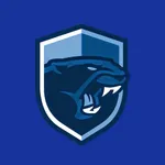 Franklin High School Panthers icon
