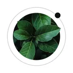 Plant Health Care・AI Identify icon