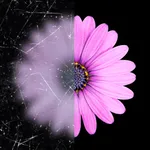 Photo Restore AI icon