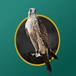 دروب اللغة العربية icon