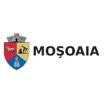 Primaria Moșoaia icon