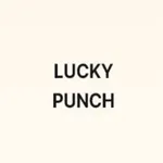 럭키펀치 icon