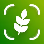 Gluten Scanner - AI Food icon