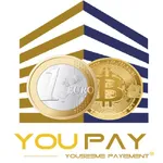 Youpay-in icon