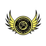 CrossFit Yellow Falcon icon