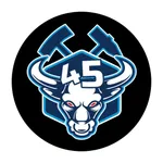45 Burger icon